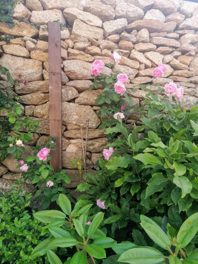 Rosas Da Granja - Casa De Campo Экстерьер фото