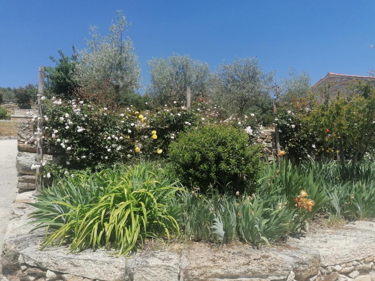 Rosas Da Granja - Casa De Campo Экстерьер фото