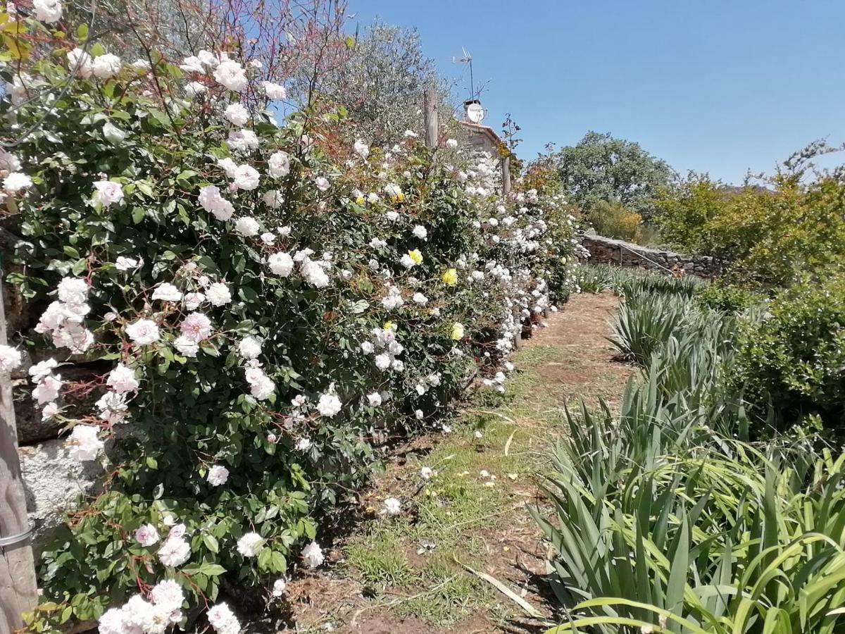 Rosas Da Granja - Casa De Campo Экстерьер фото